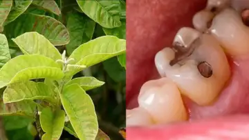 Toothache