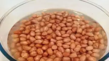 Soaked Peanuts