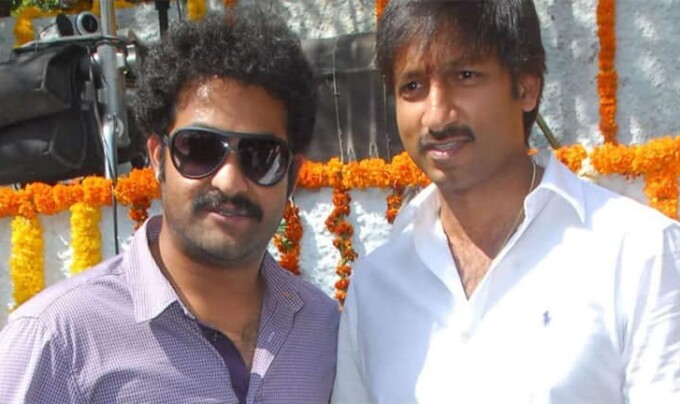 Jr NTR Gopichand: ఒకే కథతో వచ్చిన గోపీచంద్,ఎన్టీఆర్ సినిమాలలో ఏది హిట్ అయ్యిందో తెలుసా..!