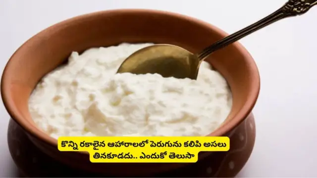 Curd Combination Foods