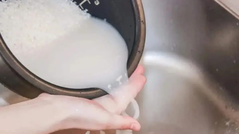 Rice Water Uses