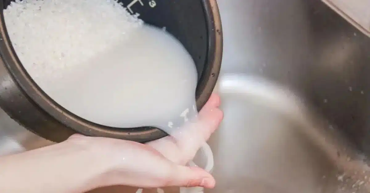 Rice Water Uses Rice Water Uses