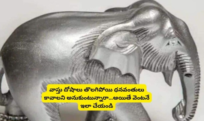 Vastu Tips: వాస్తు దోషాలు తొలగిపోయి ధనవంతులు కావాలని అనుకుంటున్నారా..అయితే వెంటనే ఇలా చేయండ!