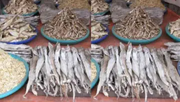 Dry Fish