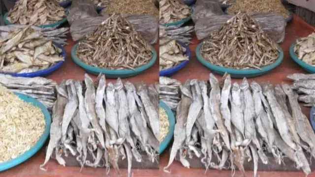 Dry Fish