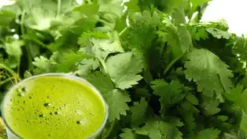 Coriander Juice Benefits