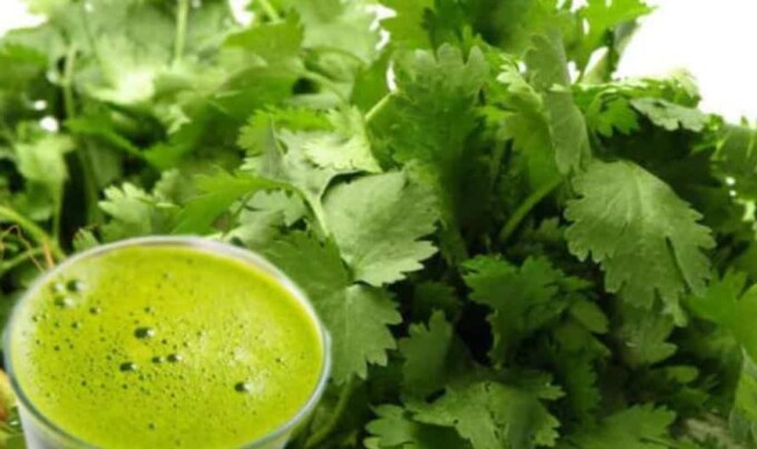 Coriander Juice Benefits: ప్రతిరోజు ఉదయం కొత్తిమీర జ్యూస్ తాగడం వలన లాభమా.. నష్టమా.. తెలుసుకోండి