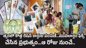 New Ration Cards