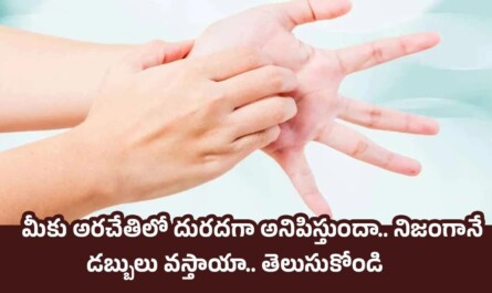 Palm Astrology: మీకు అరచేతిలో దురదగా అనిపిస్తుందా.. నిజంగానే డబ్బులు వస్తాయా.. తెలుసుకోండి