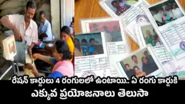 Ration Card: రేషన్ కార్డులు 4 రంగులలో ఉంటాయి.. ఏ రంగు కార్డుకి ఎక్కువ ప్రయోజనాలు తెలుసా.!