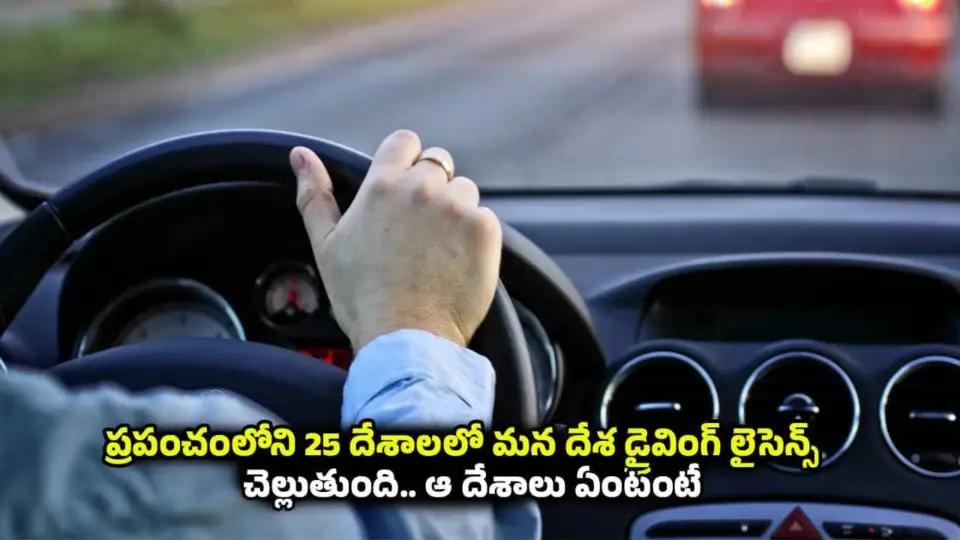 Driving Licence
