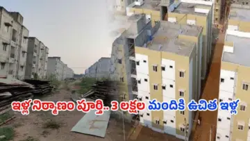 Free Houses