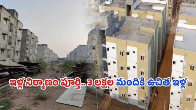 Free Houses