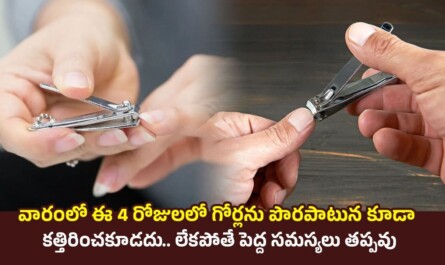 Nail Cutting