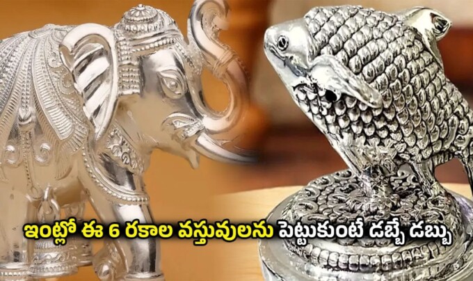 Vastu Tips: ఇంట్లో ఈ 6 రకాల వస్తువులను పెట్టుకుంటే డబ్బే డబ్బు