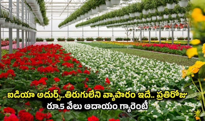 Business Idea: ఐడియా అదుర్స్..తిరుగులేని వ్యాపారం ఇదే.. ప్రతిరోజు రూ.5 వేలు ఆదాయం గ్యారెంటీ