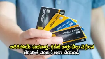 Credit Card Bill