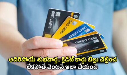Credit Card Bill