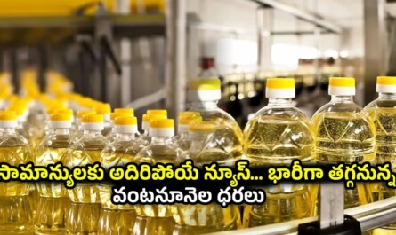Edible Oil Price drop