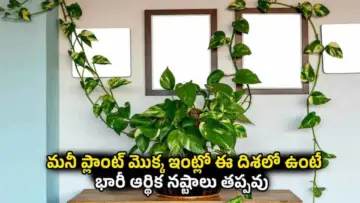 Vastu Tips