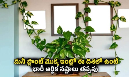 Vastu Tips