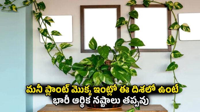 Vastu Tips