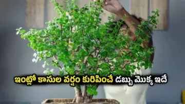 Vastu Tips