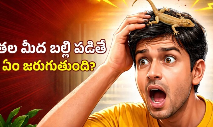 Lizard Falling on Head: తల మీద బల్లి పడితే నిజంగానే ప్రమాదమా.. తెలుసుకోండి