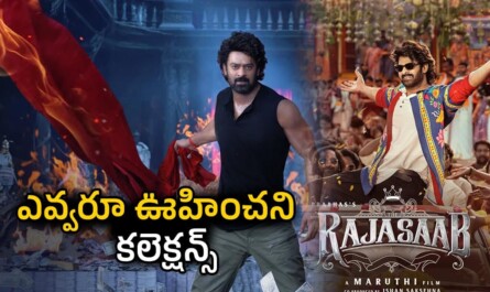 The Raja Saab First Day Collections: ఊహించని స్థాయిలో ఓపెనింగ్ వసూళ్లు సాధించిన ది రాజా సాబ్
