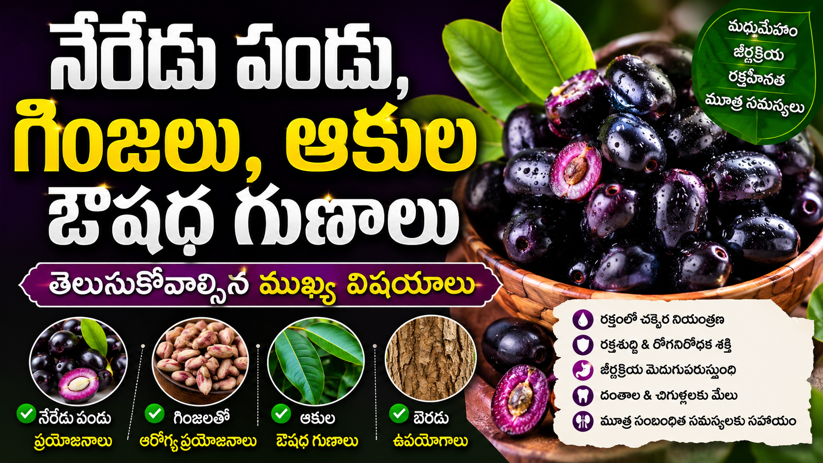 Jamun Fruit Benefits: నేరేడు పండు, గింజలు, ఆకుల ఔషధ గుణాలు – తెలుసుకోవాల్సిన ముఖ్య విషయాలు