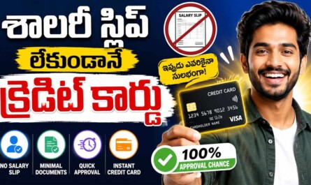 Credit Card: శాలరీ స్లిప్ లేకుండానే క్రెడిట్ కార్డు