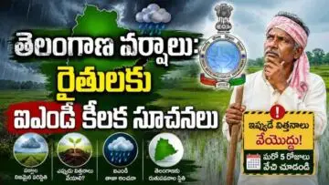 Telangana Rain Update: తెలంగాణ వర్షాలు: రైతులకు ఐఎండీ కీలక సూచనలు