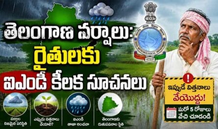 Telangana Rain Update: తెలంగాణ వర్షాలు: రైతులకు ఐఎండీ కీలక సూచనలు