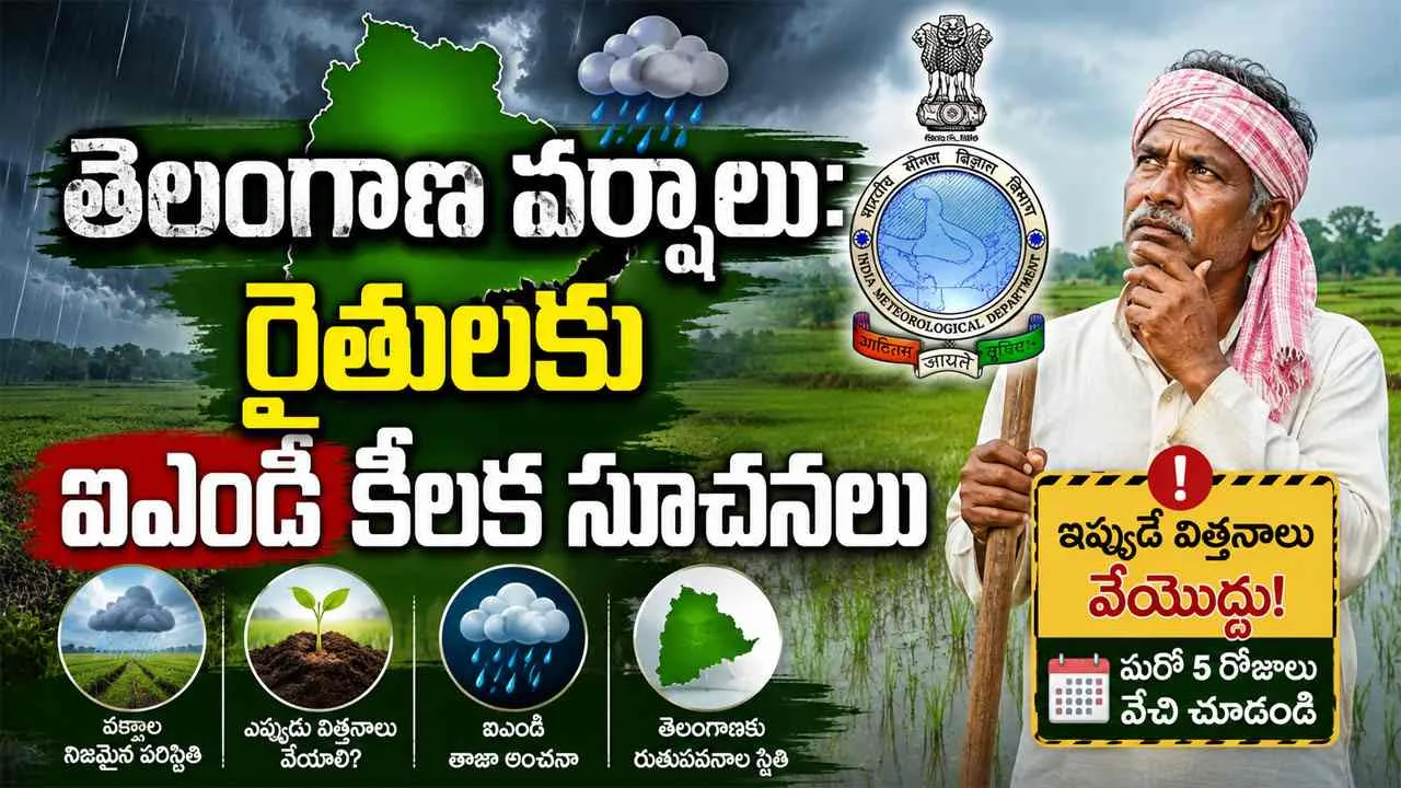 Telangana Rain Update: తెలంగాణ వర్షాలు: రైతులకు ఐఎండీ కీలక సూచనలు